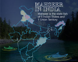 Mahseer in  India