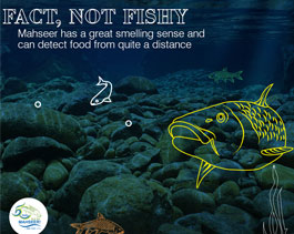 Fact,    Not Fishy