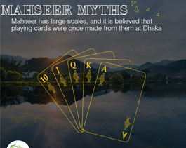 Mahseer   Myths