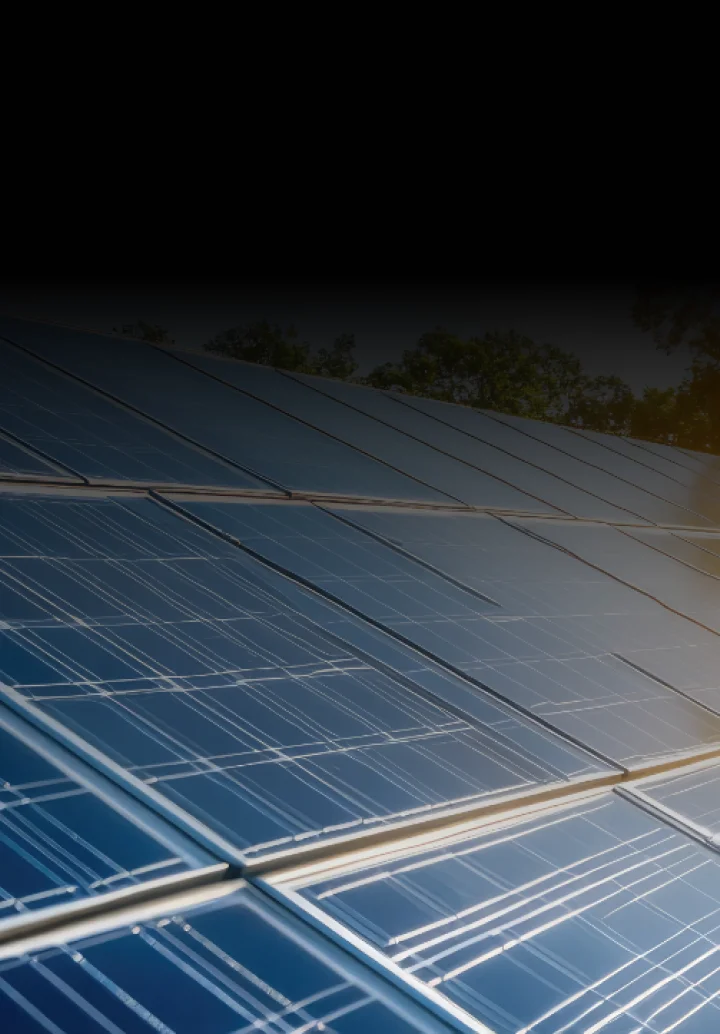 Solar panel types and long-term performance in India