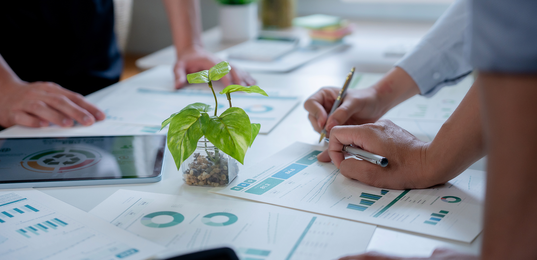 Advantages of carbon credits for sustainable growth