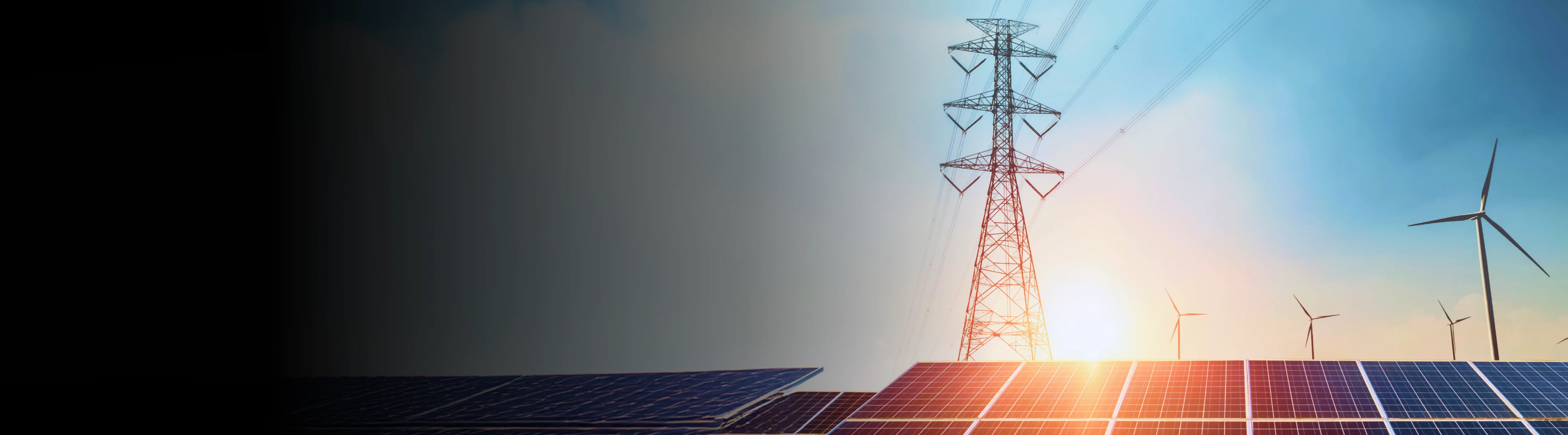 Sustainable vs renewable energy