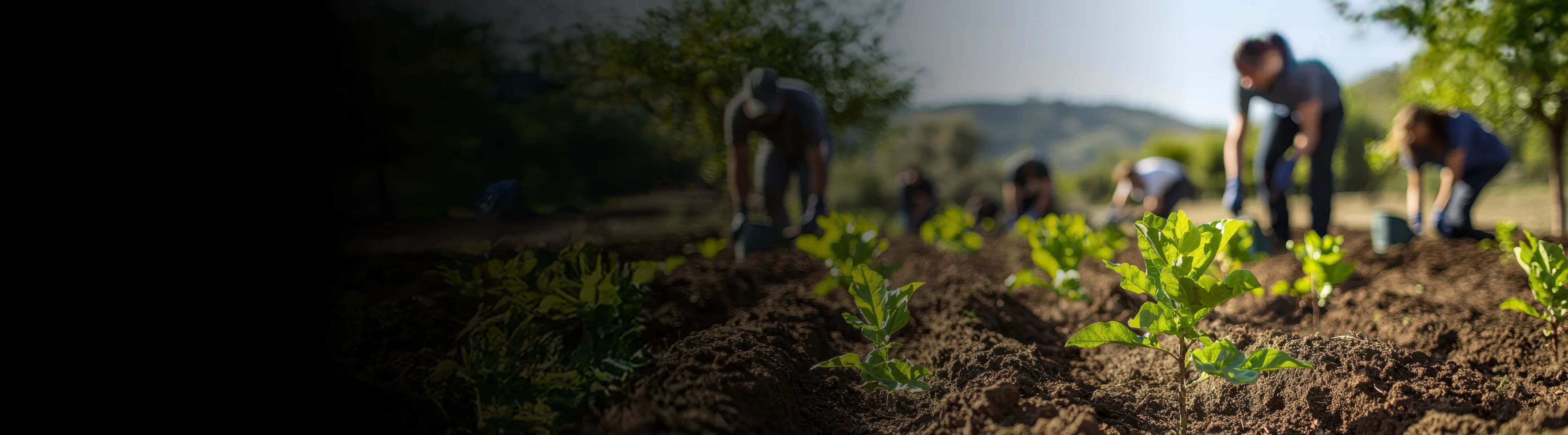 Tata Power community-led clean energy and skill building driving India’s net zero journey