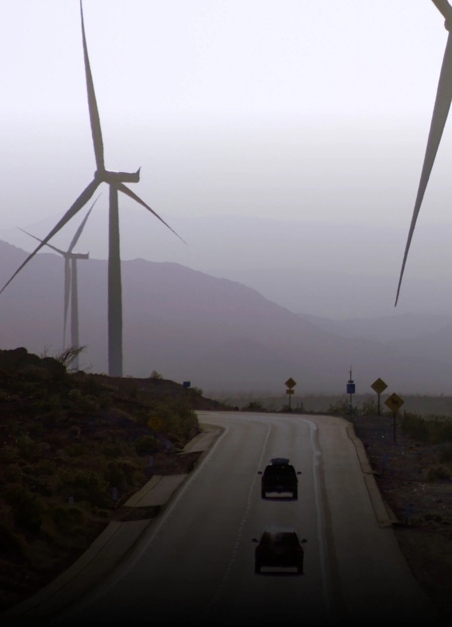 Discover what lies ahead