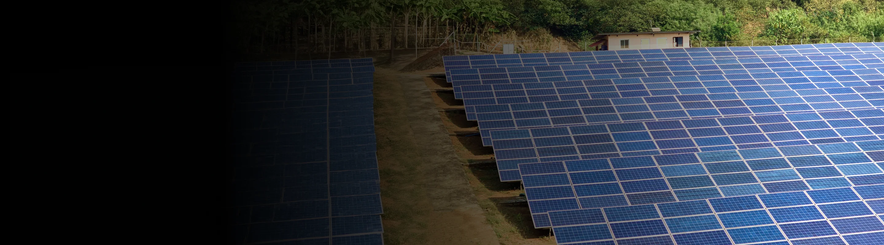 Group captive solar model for business power buyers