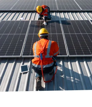 Large-scale solar power project engineered and managed by Tata Power Solar EPC team