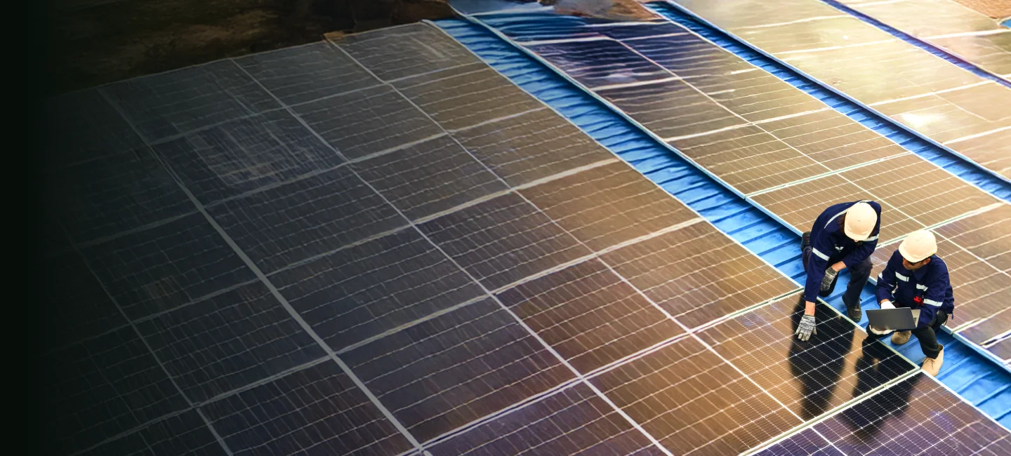 India solar economy driving resilient energy growth
