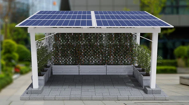 Lattice Greens rooftop solar space with Kentia Palm