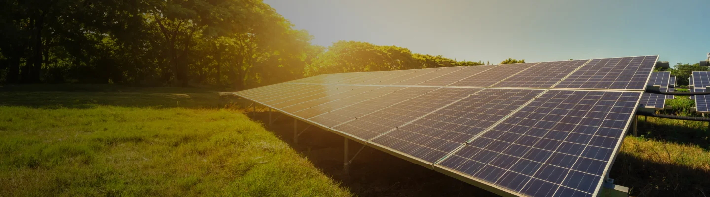 Solar panels under bright sunlight showcasing renewable energy and solar power savings