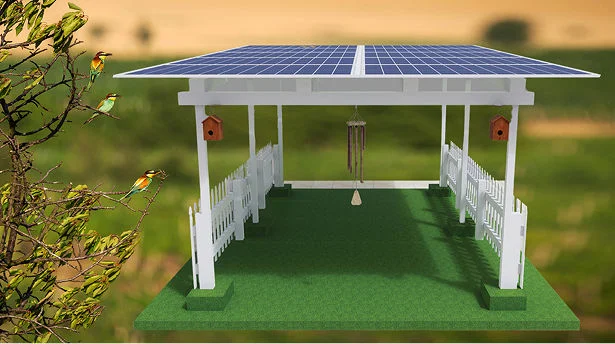 Turf Meadow rooftop solar space with a birdhouse