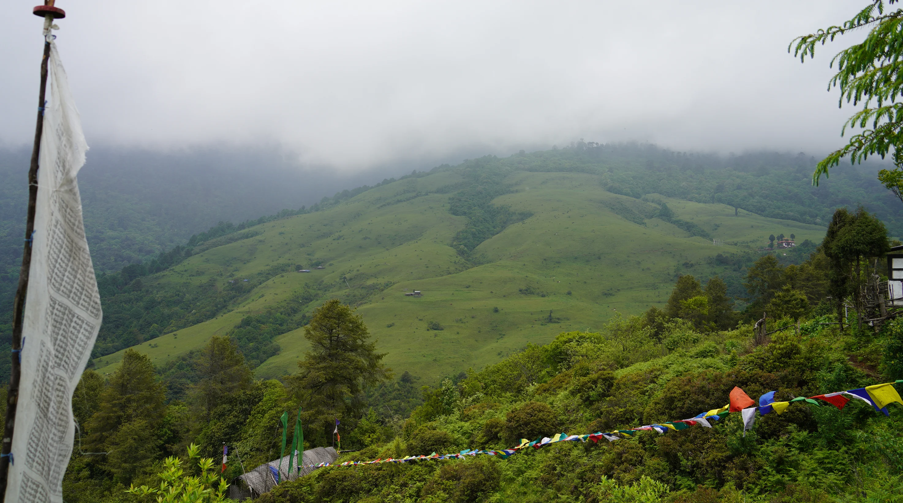 Reinforcing Bhutan as a clean energy exporter