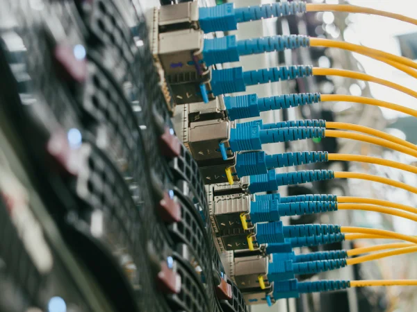 Flexibility and adaptability