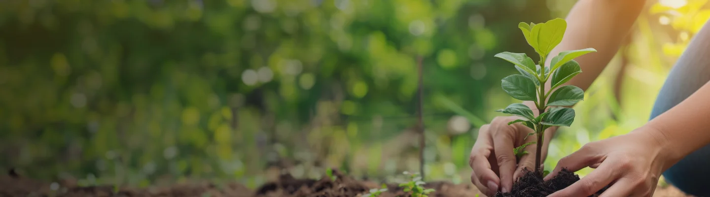 Sustainable Living with Tata Power: Small Steps, Big Impact on Savings and the Planet