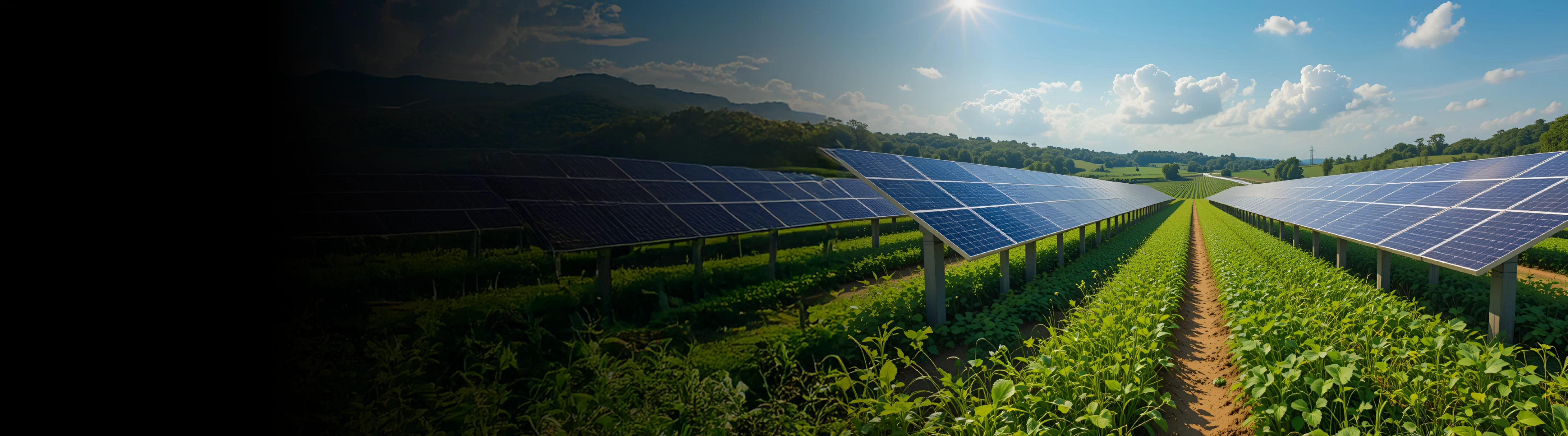 The future of farming and clean energy with agrivoltaics in India