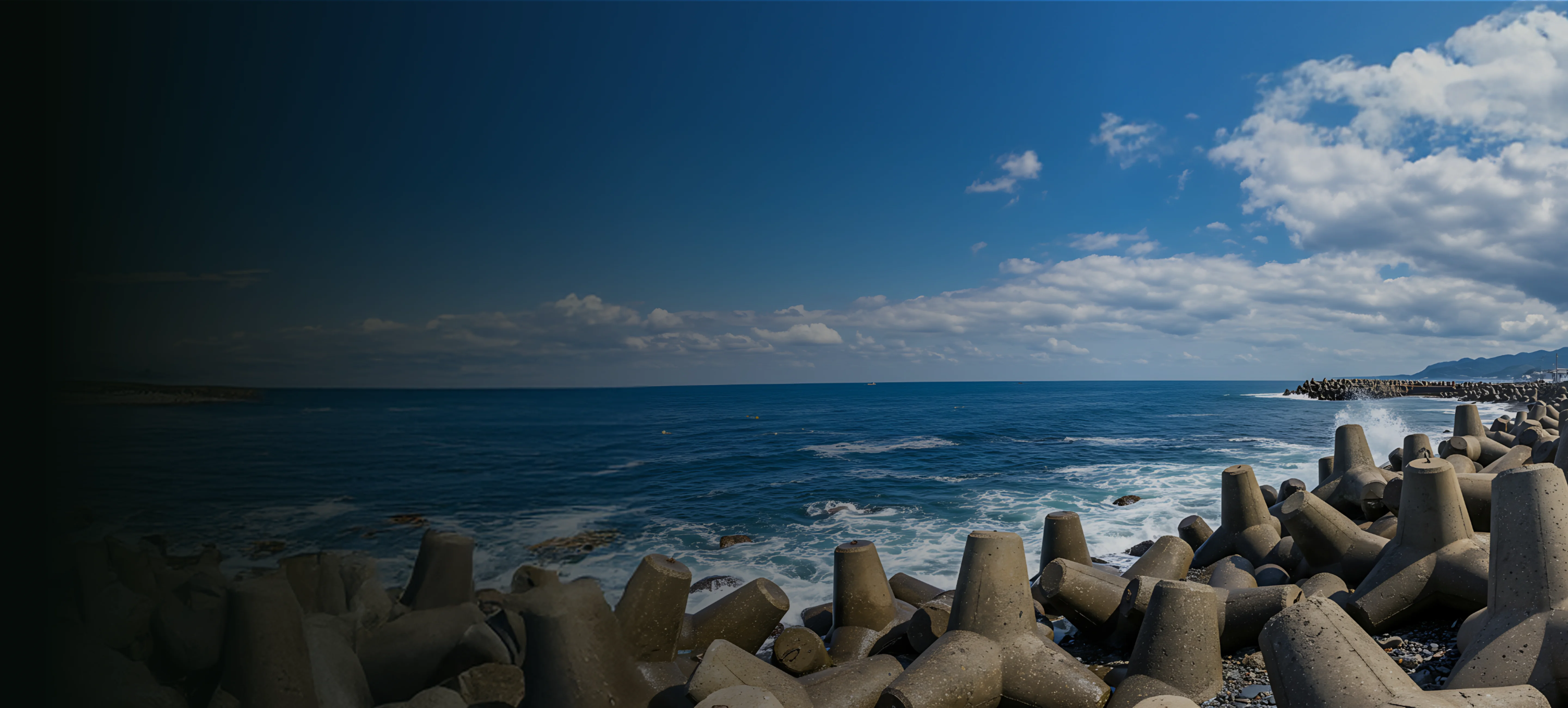 Tata Power circular use of ash for coastal safety