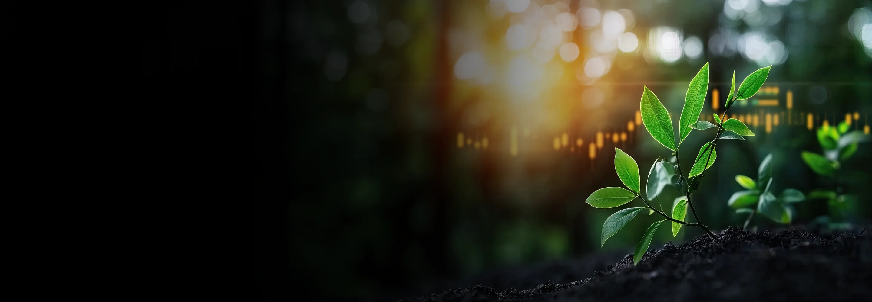 Carbon credits as the green currency of climate action