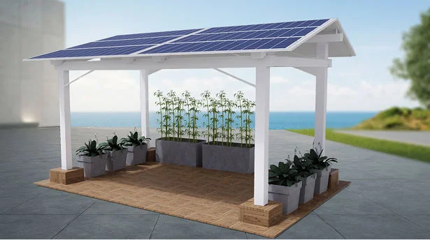 Golden Retreat solar space with Golden Bamboo and Peace Lily   Reply