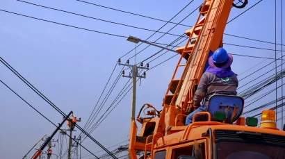 Project Management Services​