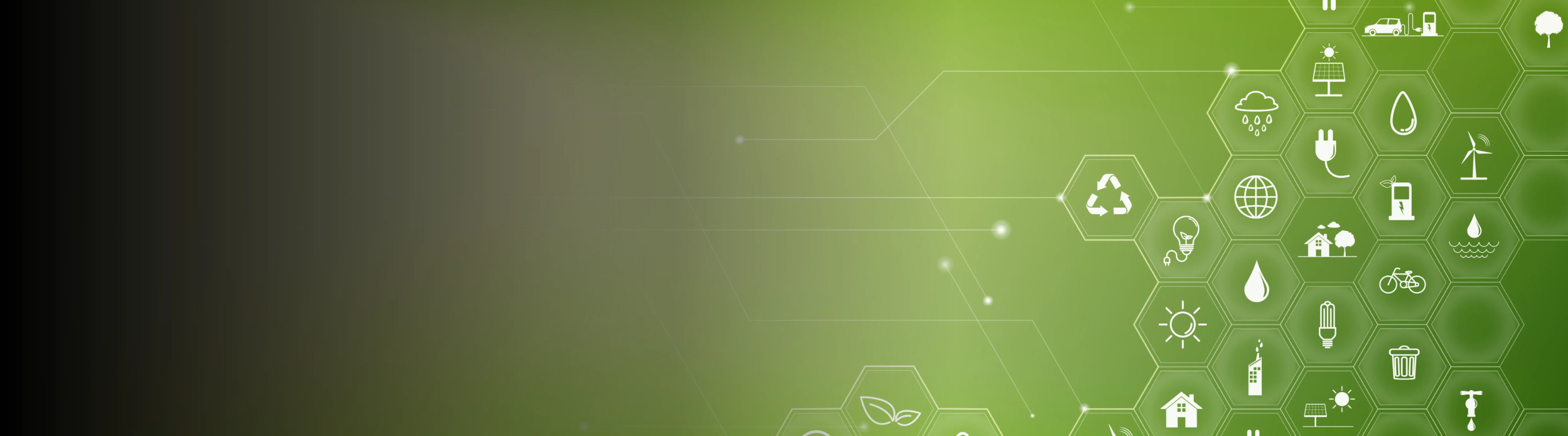 The 5 R’s of sustainability guiding waste reduction and promoting a cleaner, greener future