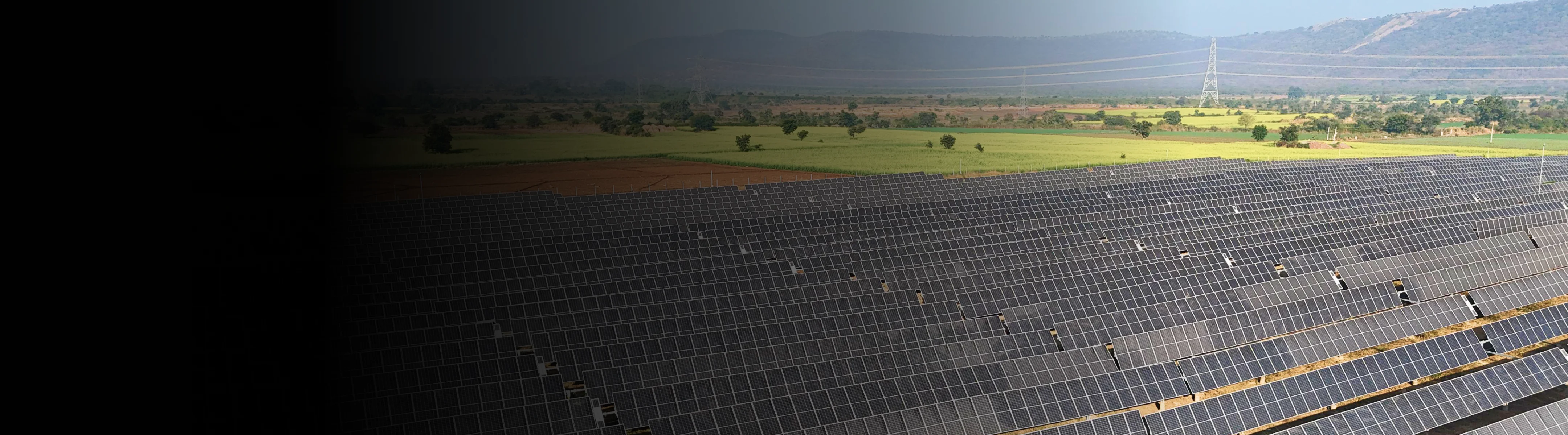 Tata Power Solar panels in field showcasing clean energy