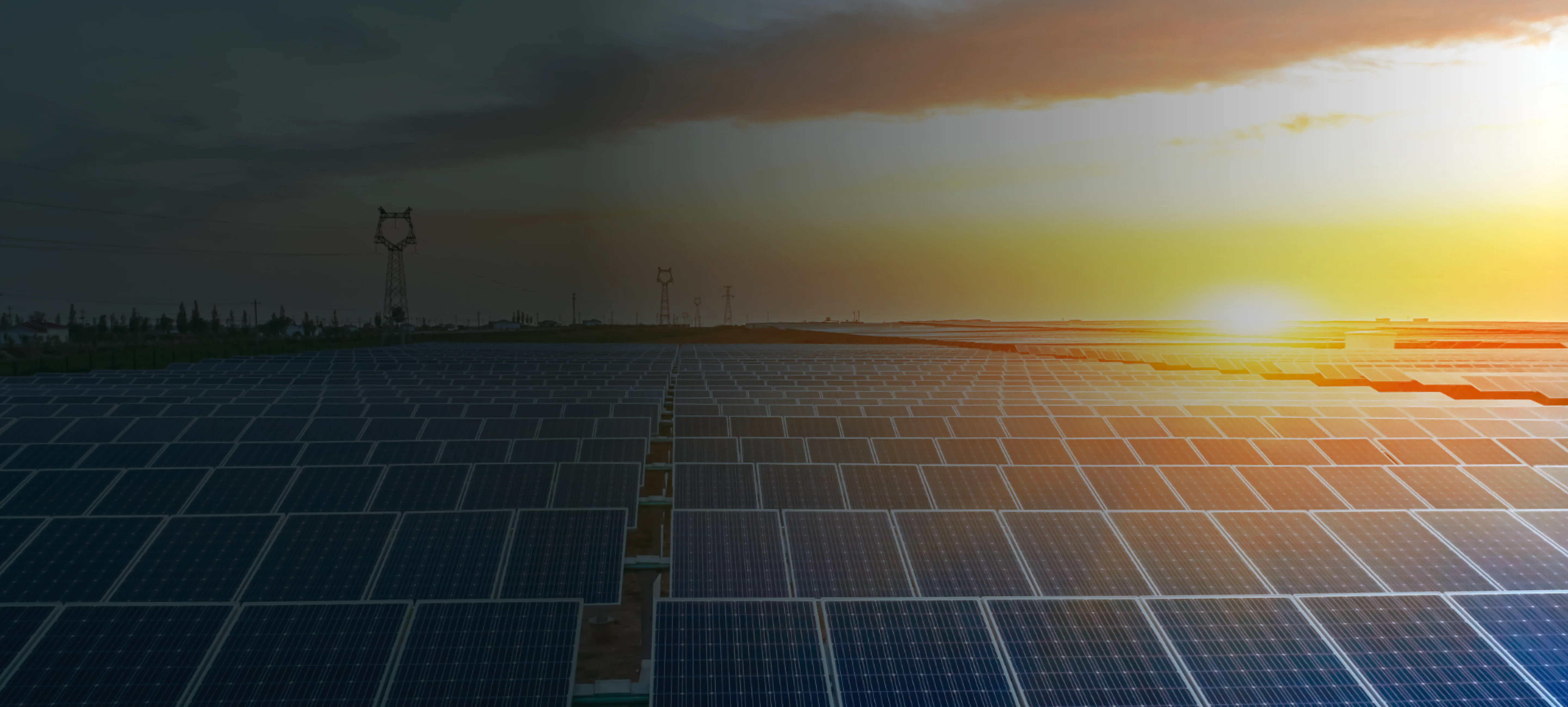 Tata Power Achieves Highest Ever Quarterly PAT, Q3FY25