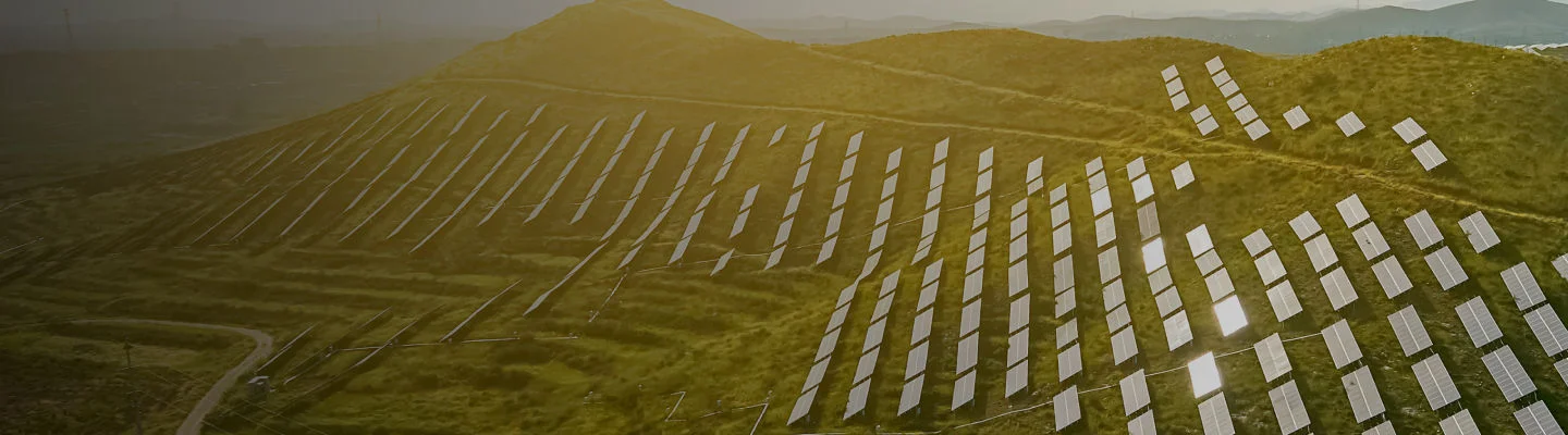 Tata Power solar farm showcasing renewable energy and sustainable power generation