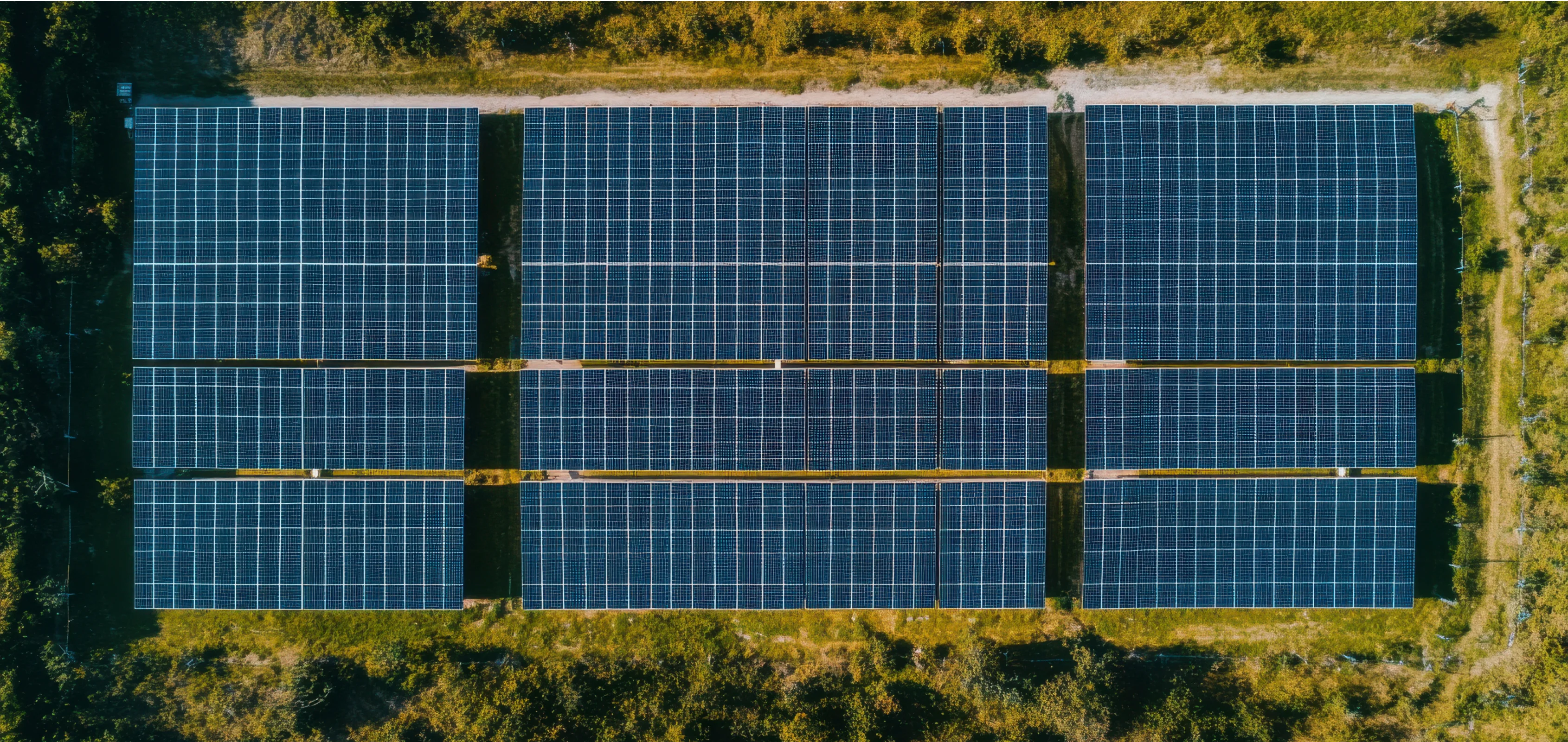 Solar farm producing renewable energy while minimizing environmental impact