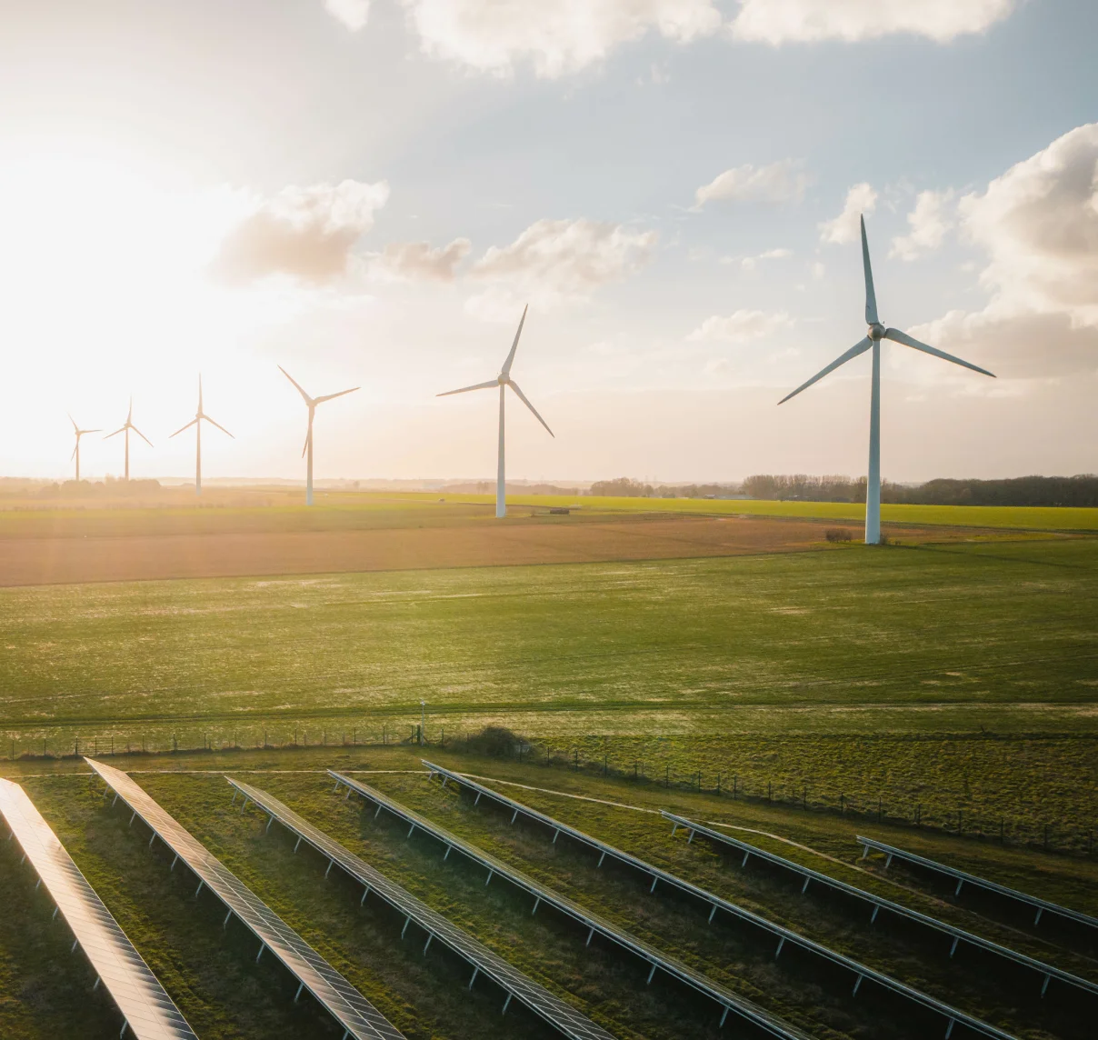 Windmill farm for clean electricity