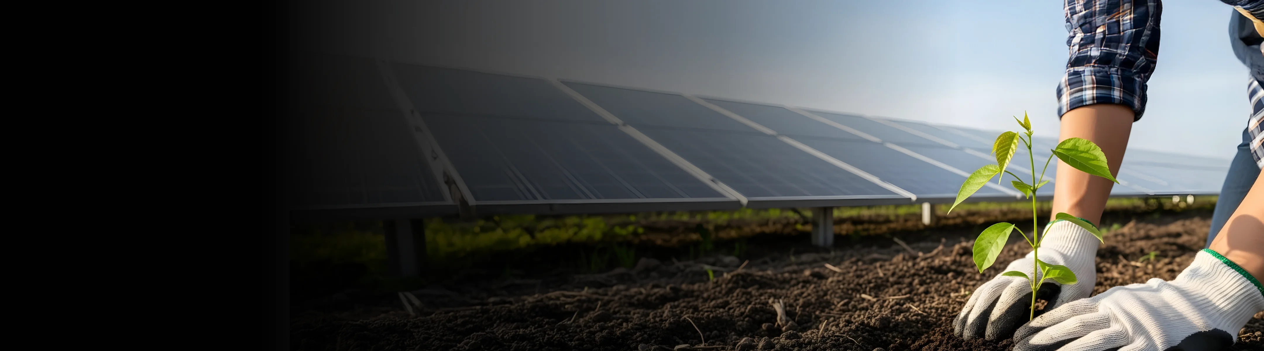 Solar irrigation benefits for farmers under the PM-KUSUM scheme