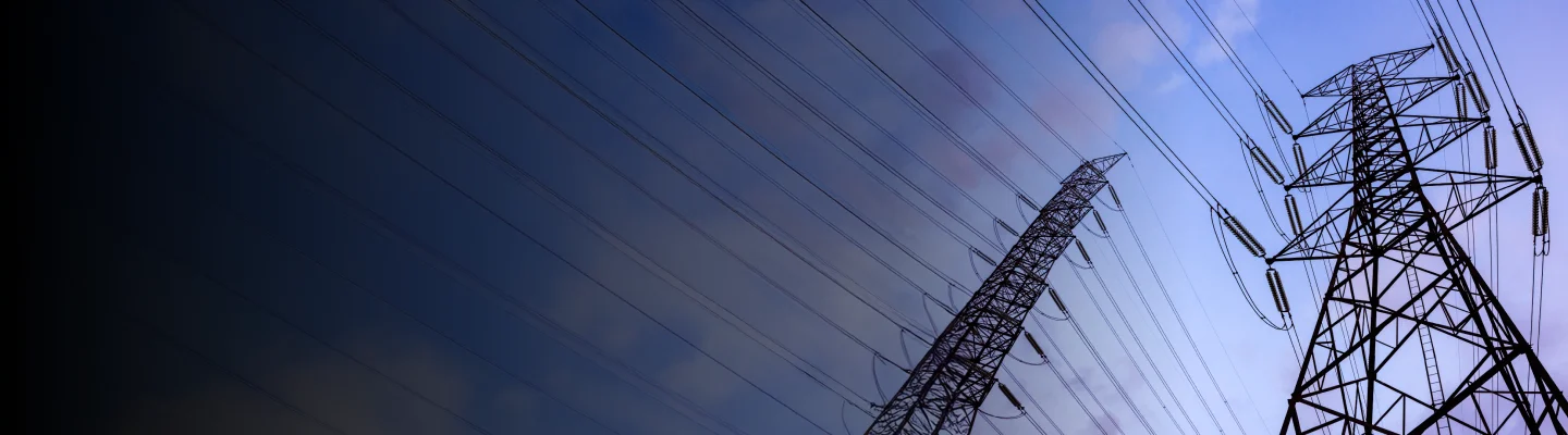 Dr. Praveer Sinha on India’s Power Reform