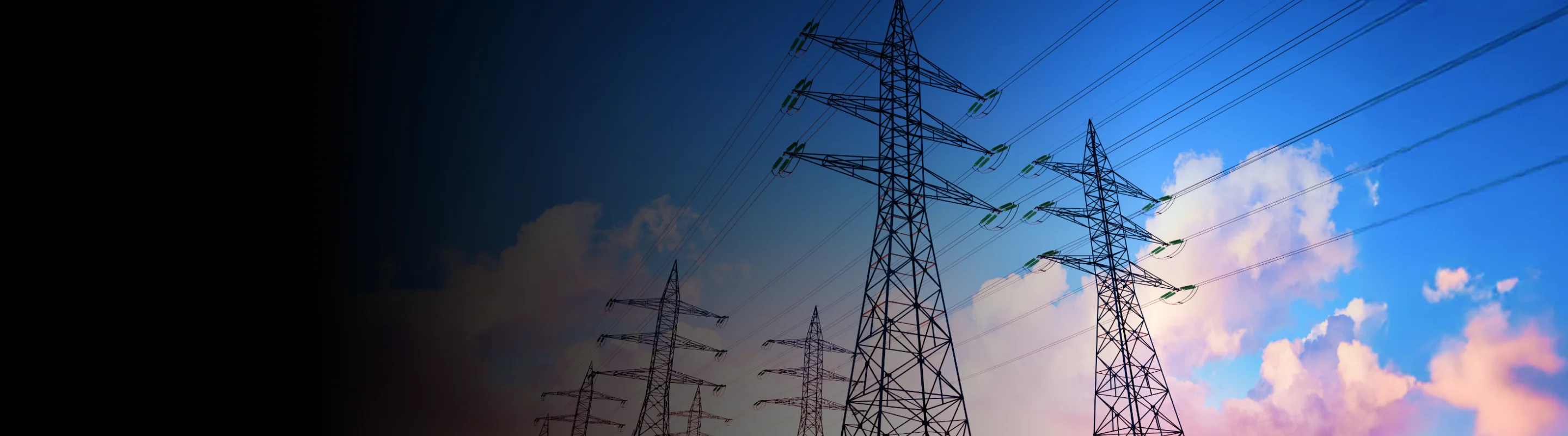 India power system ready for rising energy demand