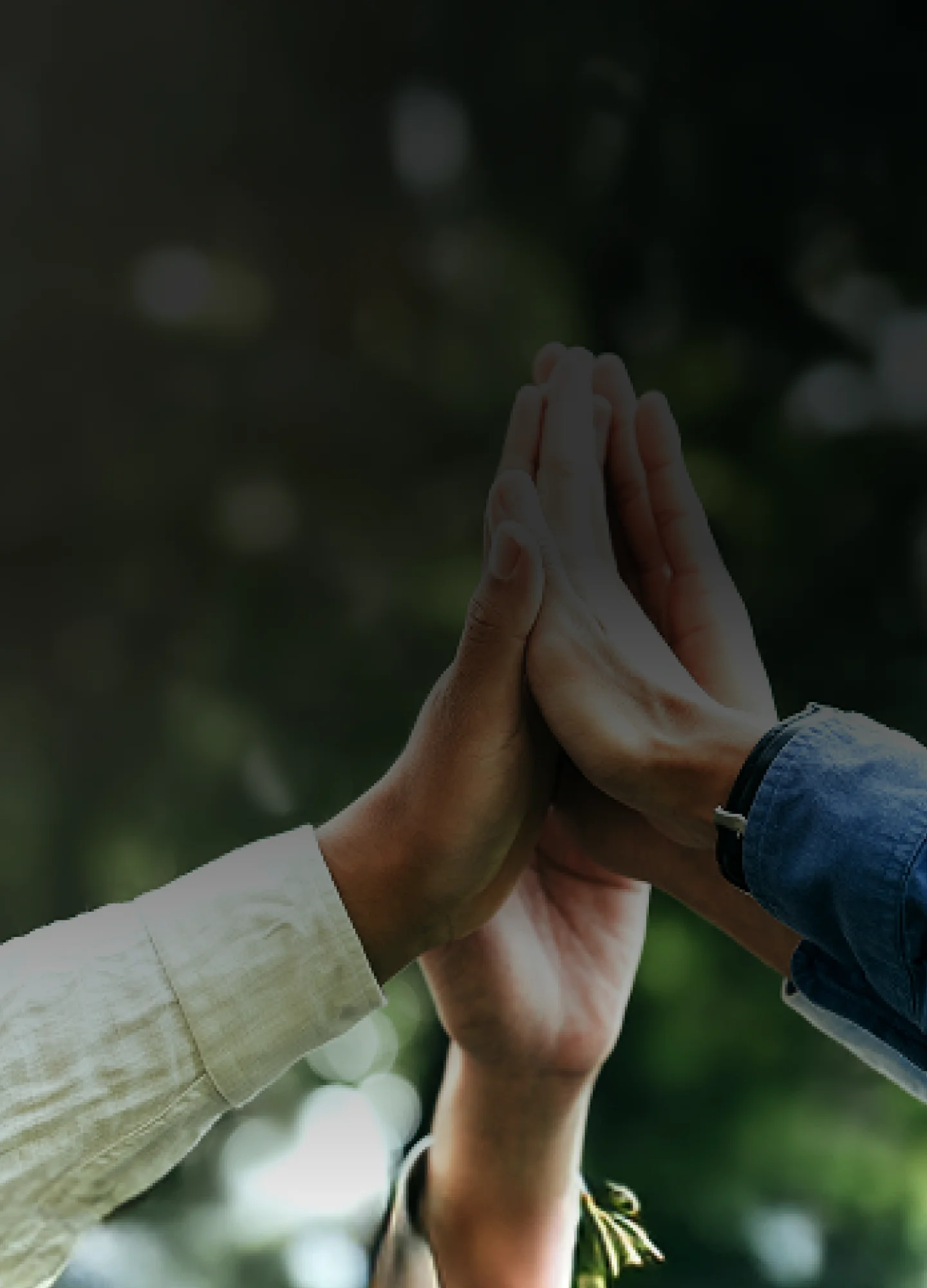 Driving transformative UNSDG efforts to champion sustainability