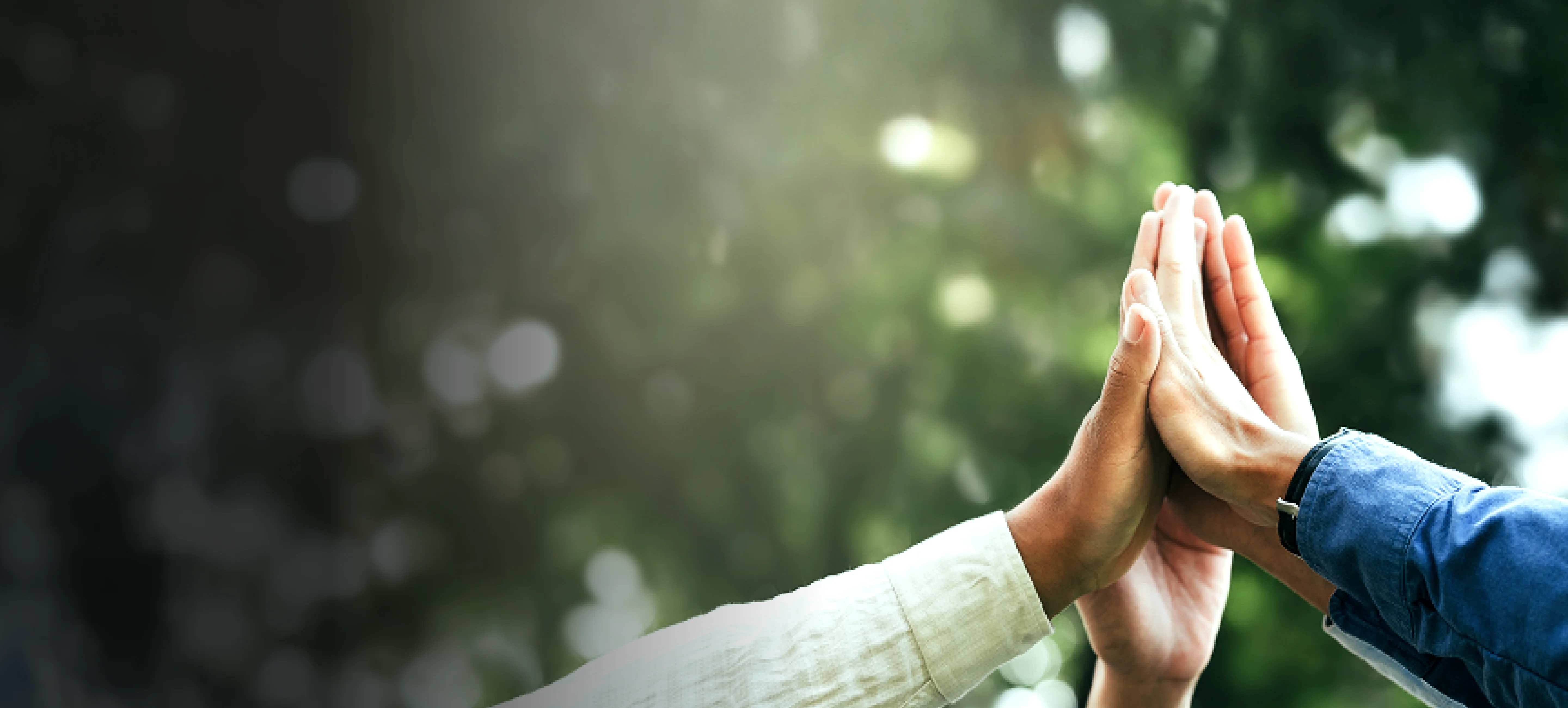 Driving transformative UNSDG efforts to champion sustainability