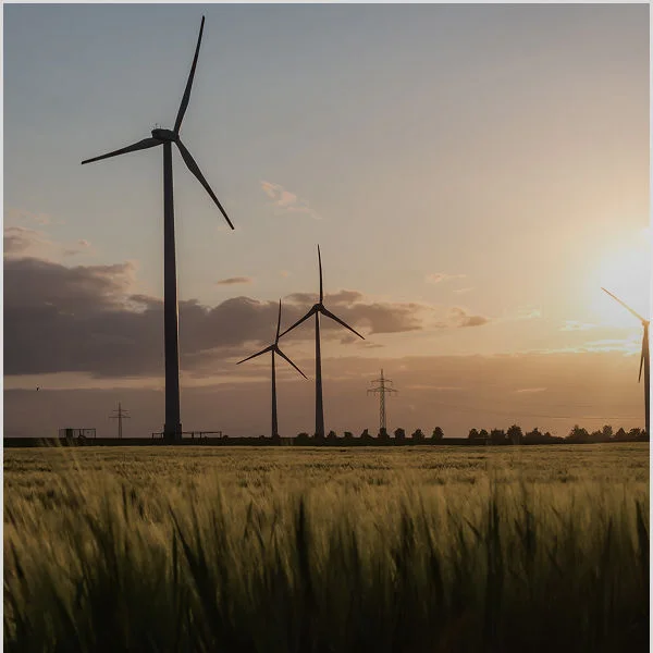 Excellence in Wind Farm Operations