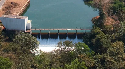 Standing tall with you