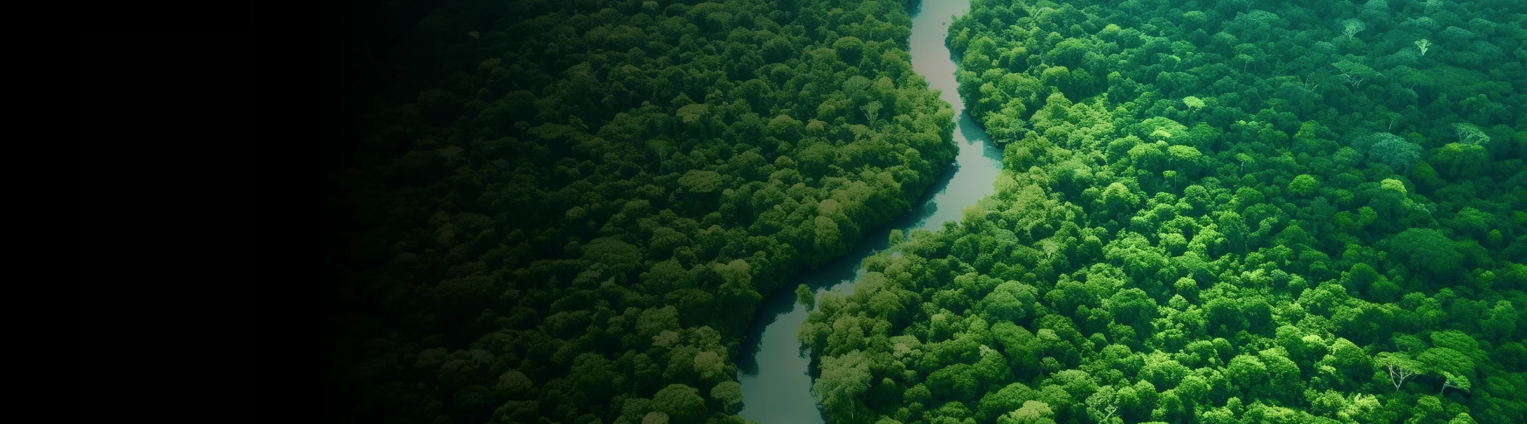 World leaders at COP30 discussing climate action