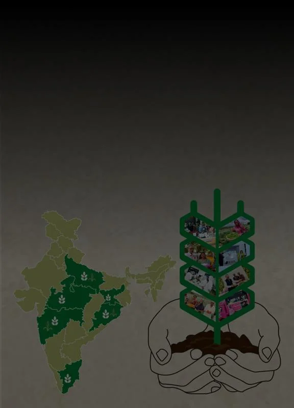 Tata Power supports millet farmers for a greener future