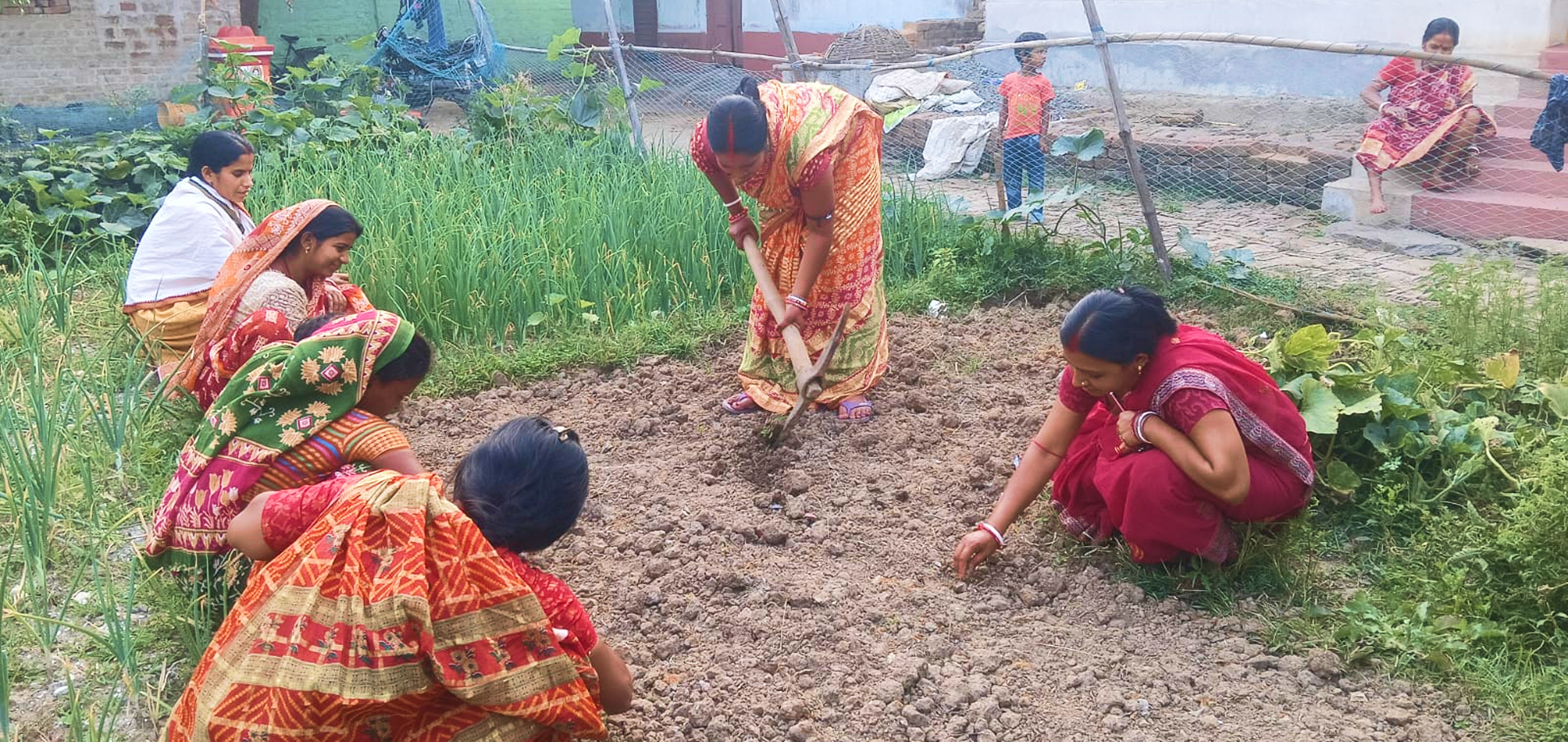 Millets help fight malnutrition, save water, and empower farmers