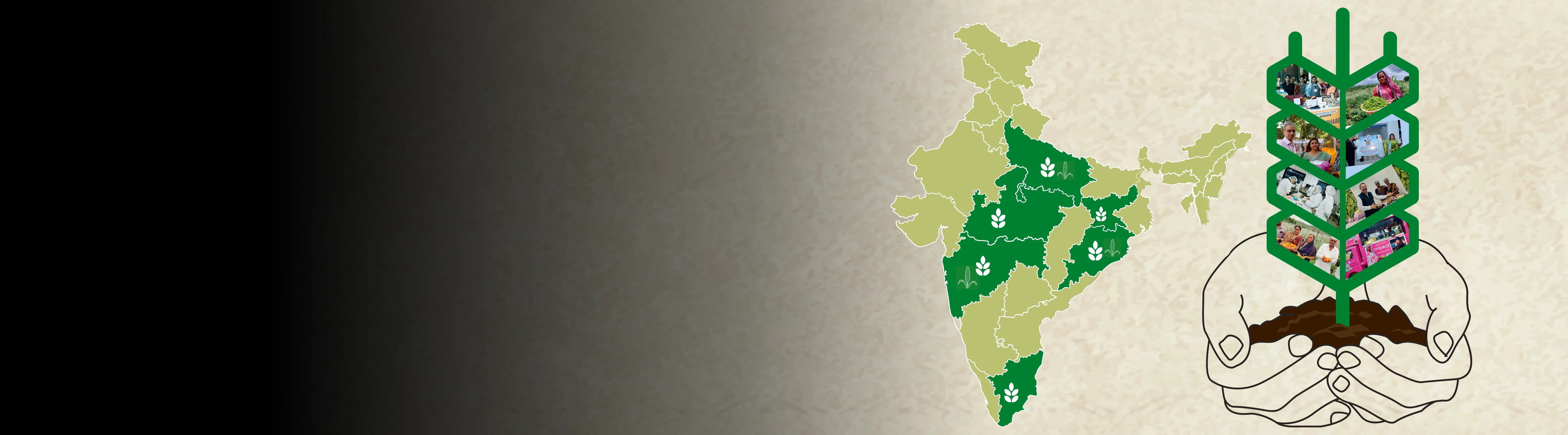 Tata Power supports millet farmers for a greener future