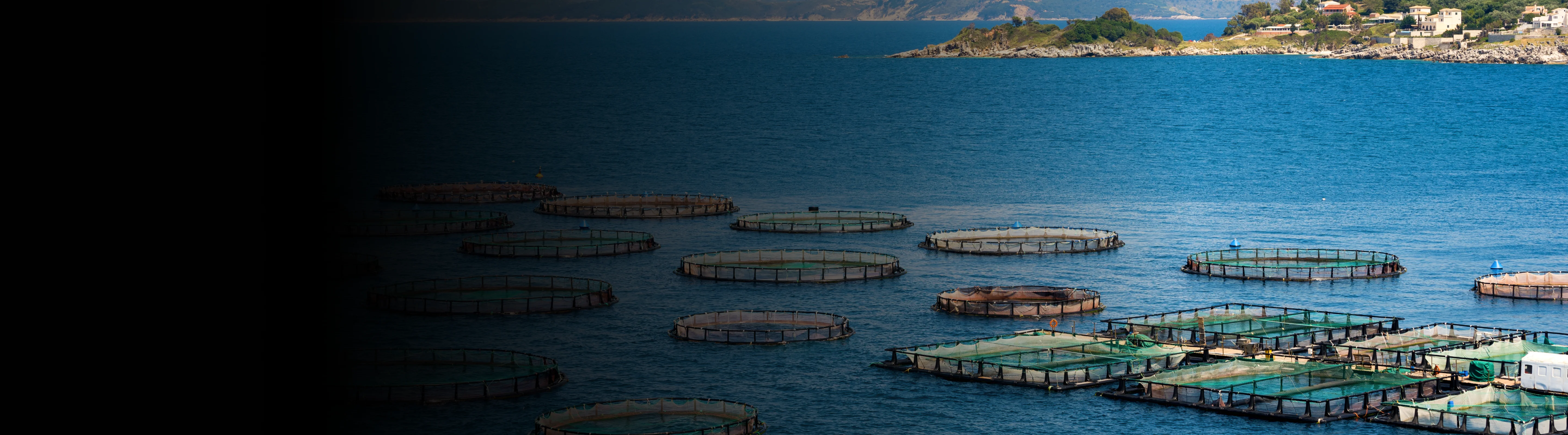 India’s blue economy and sustainable ocean growth