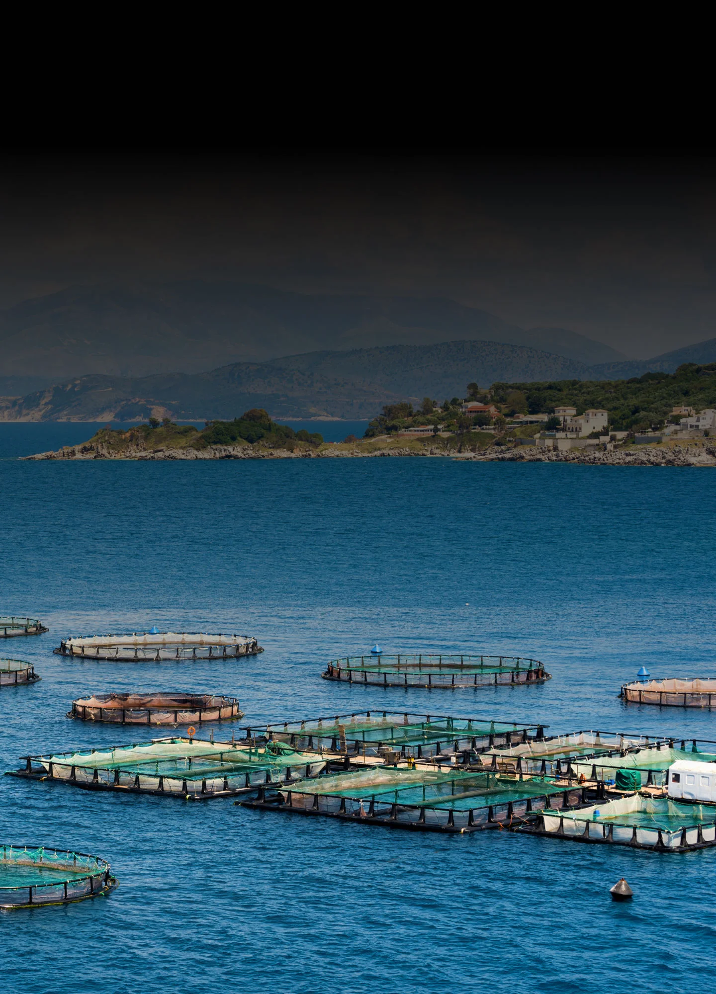 India’s blue economy and sustainable ocean growth