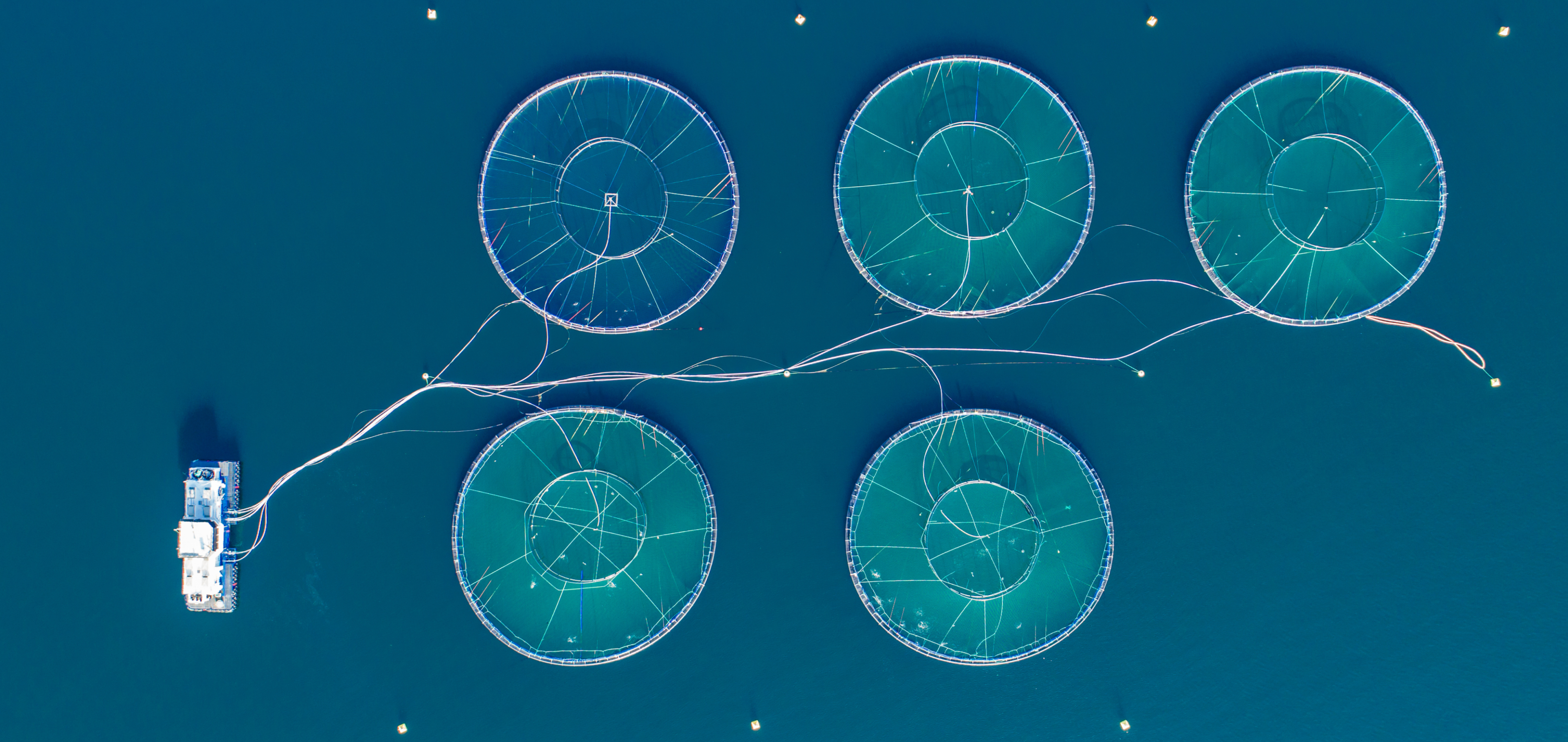 Blue economy links growth with ocean conservation