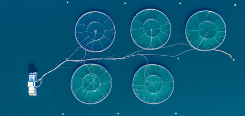 What is blue economy? India’s ocean growth story