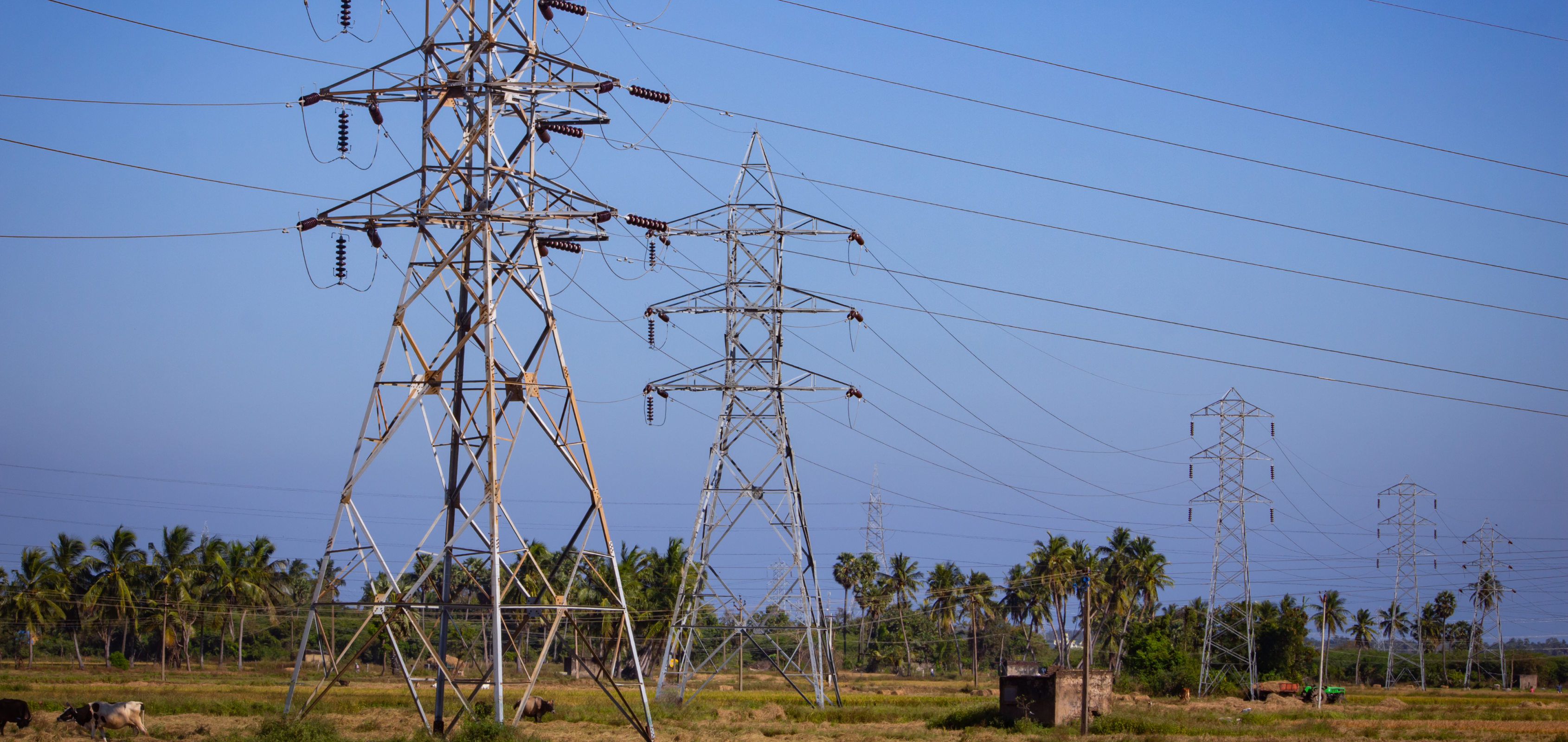 TPSODL enhancing Odisha’s electricity network