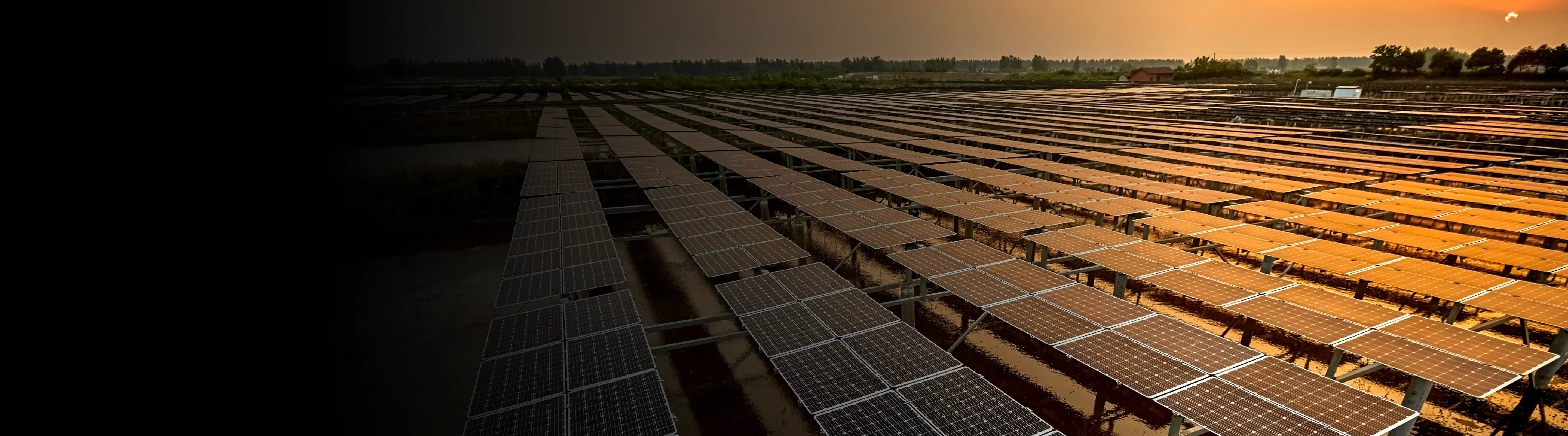 Decarbonization strengthens India’s renewable growth