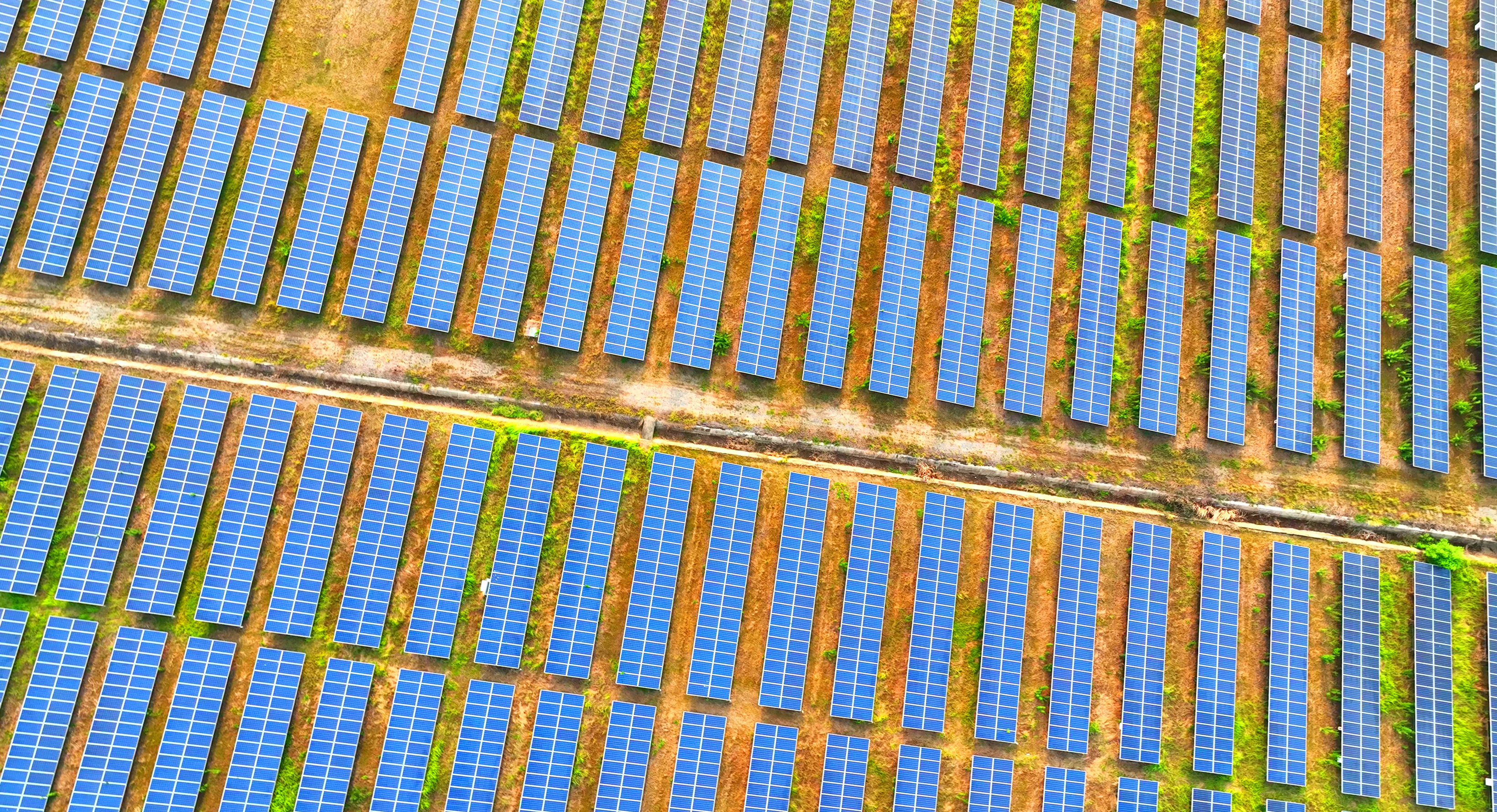 Solar microgrid system supplying clean power to nearby homes and facilities