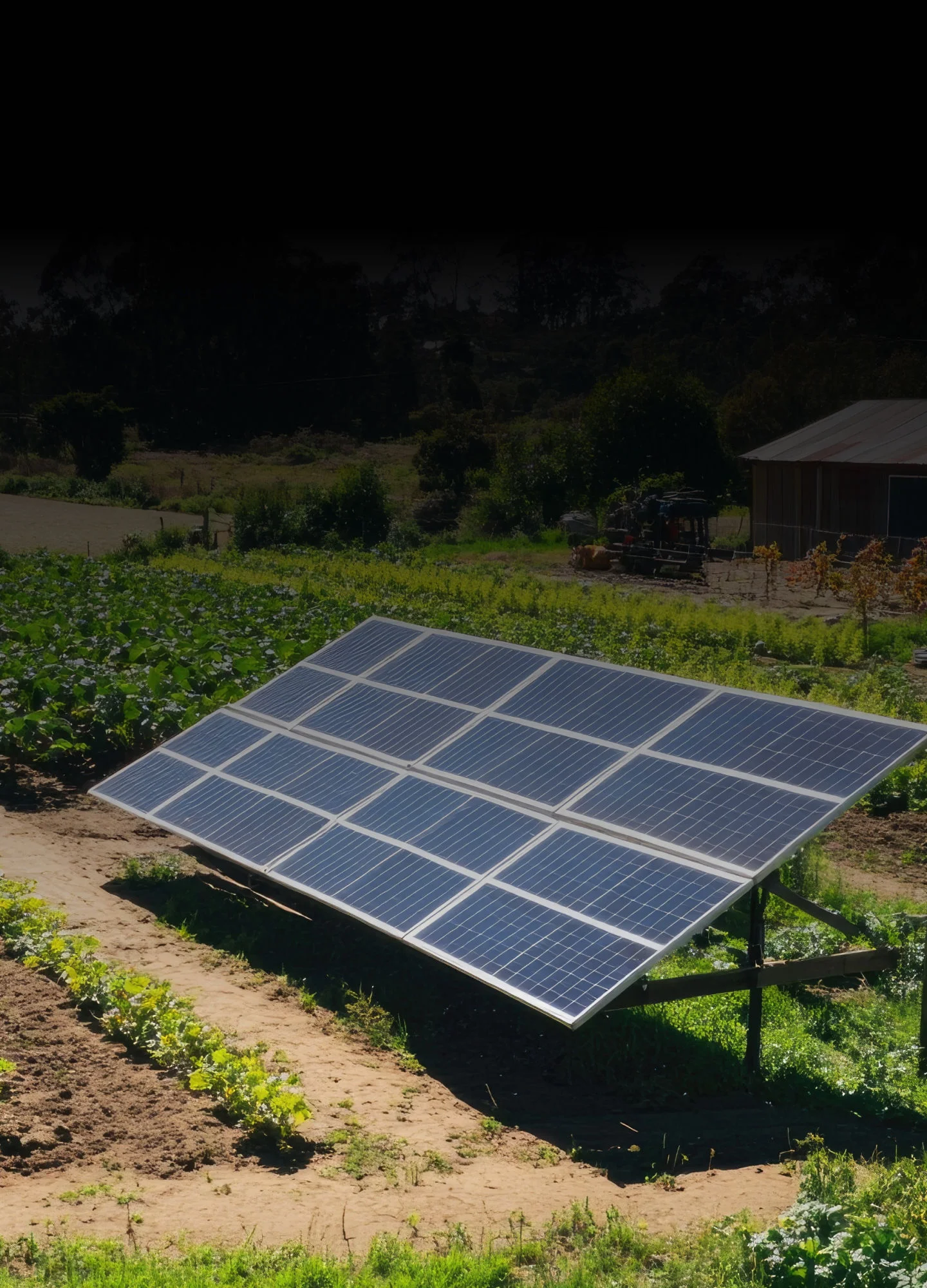 Solar microgrid field generating sustainable electricity for remote communities