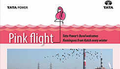Pink Flight
