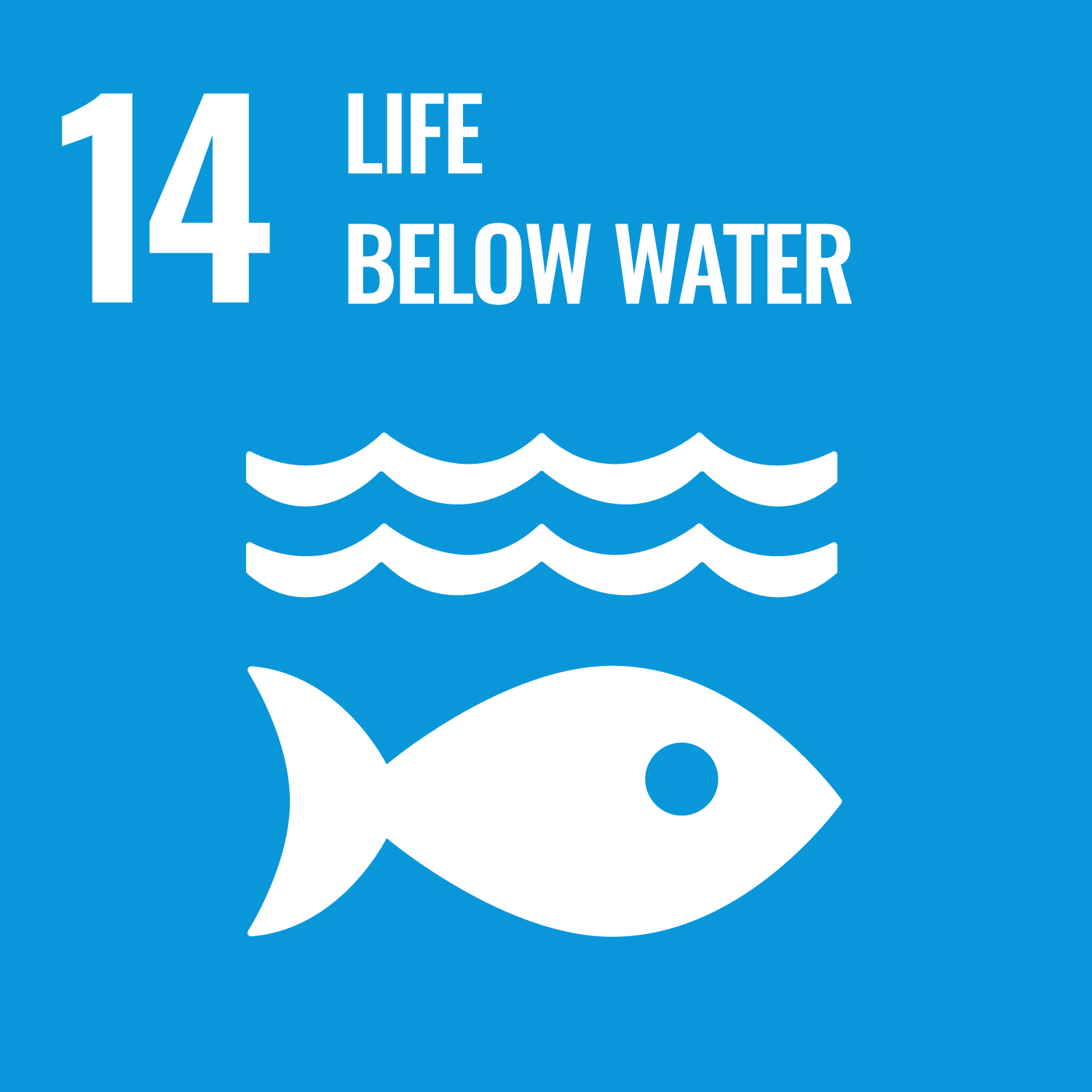 SDG 15