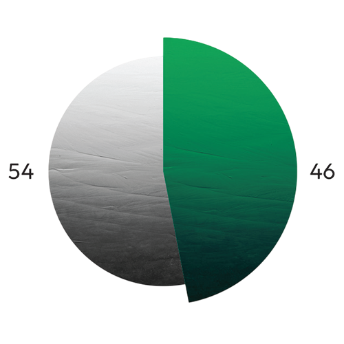 Domestic capacity mix: 54% conventional, 46% clean